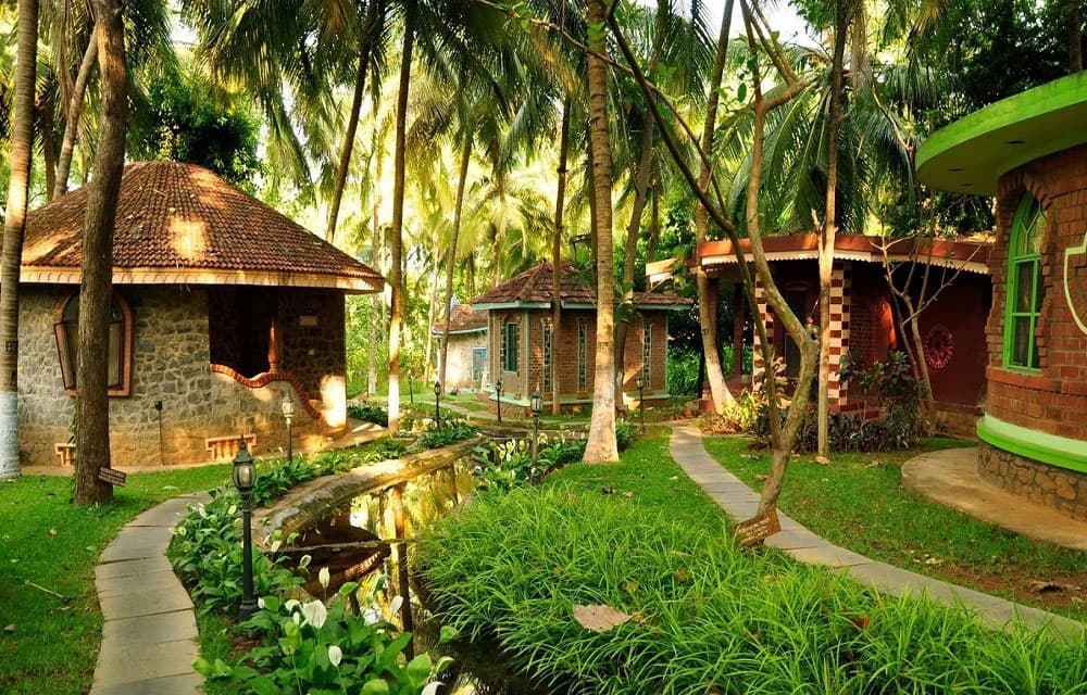 Ayurveda & Wellness Retreats for NRIs: Rejuvenate in India