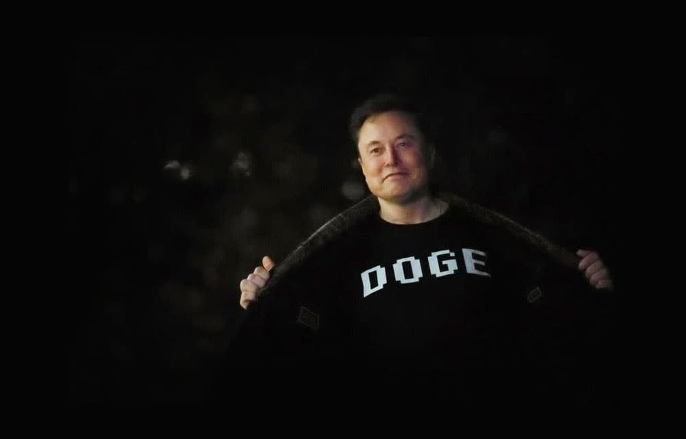 Elon Musk’s DOGE and Its Impact on NRIs: A Game-Changer for Wealth Creation
