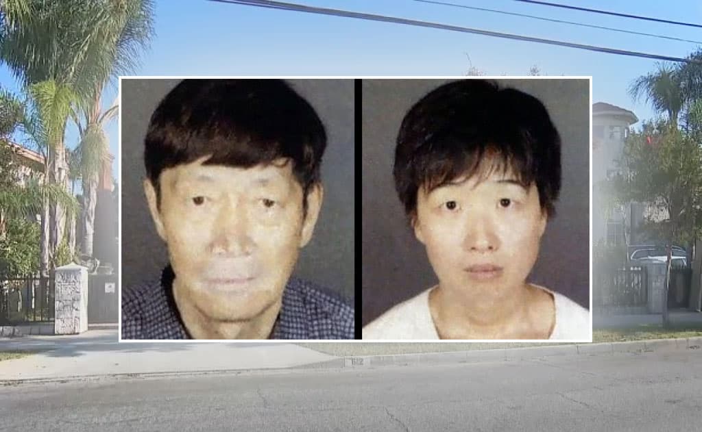 Surrogacy Scam Shocker: Southern California Couple Arrested, 21 Children Rescued from Alleged Nationwide Scheme