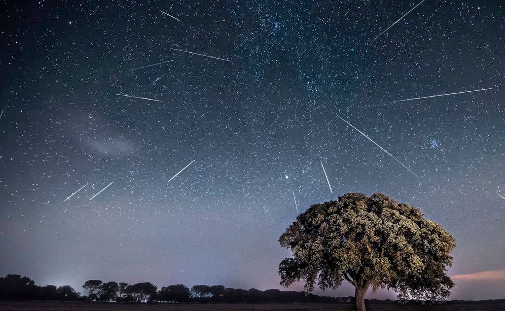 Perseids Meteor Shower: A Guide for Indian-American Families