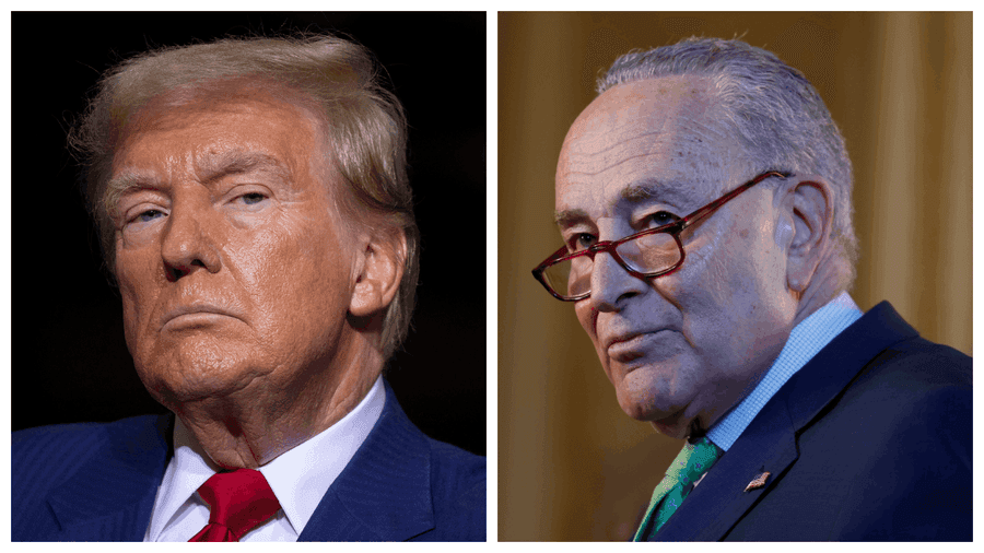 Trump-Schumer Dispute Stalls Nominee Confirmations