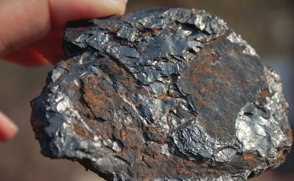 All DNA and RNA Bases Found in Meteorites: Did Life on Earth Originate from Space?