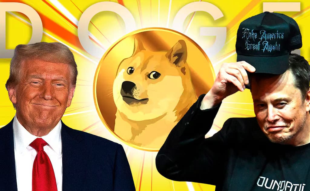 The System Worked Fine Before Trump, Elon, and DOGE Cut Funds and Laid People Off