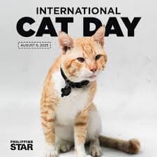 international cat day