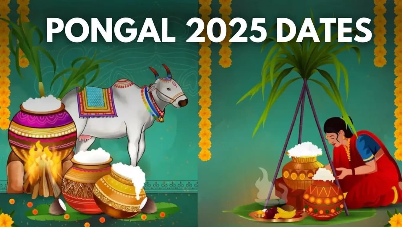 Pongal Celebrations in India: A Complete Guide to the Tamil Harvest Festival