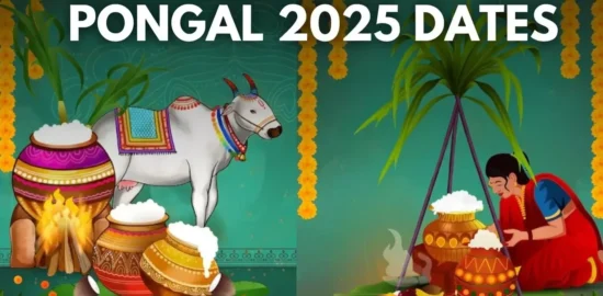 Pongal Celebrations in India: A Complete Guide to the Tamil Harvest Festival